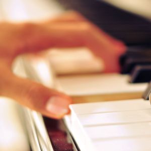 我想看免费的日逼黄片
