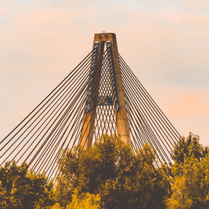 我想看免费的日逼黄片
