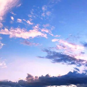 我想看免费的日逼黄片
